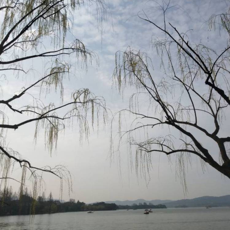 温温-浙江省·杭州市·余杭区--杭州的春天，阳光，微风和快乐！
那些是爱情吧哈哈