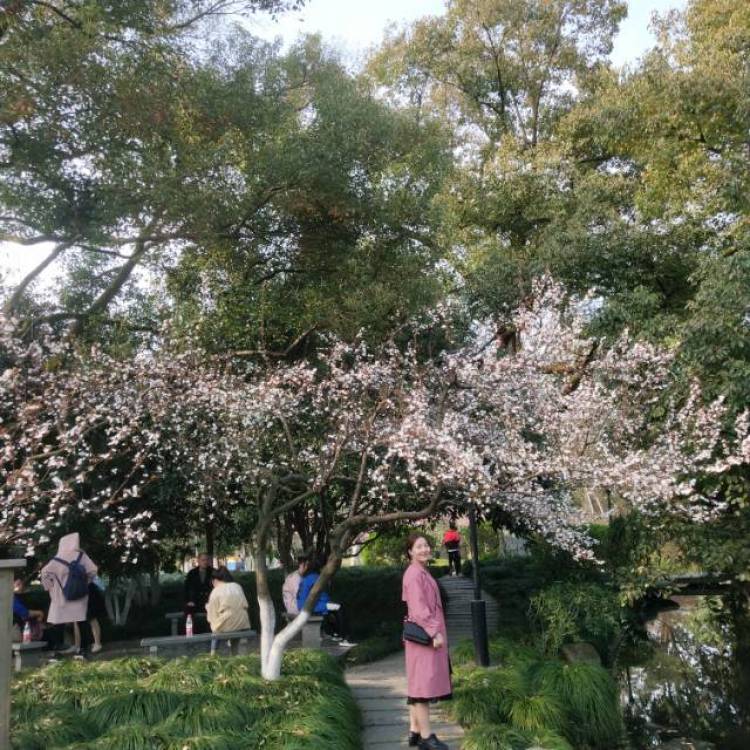 温温-浙江省·杭州市·余杭区--快生日了，给自己准备了一份大礼！哈哈
开始接单了哦！快来滴滴温温呀！