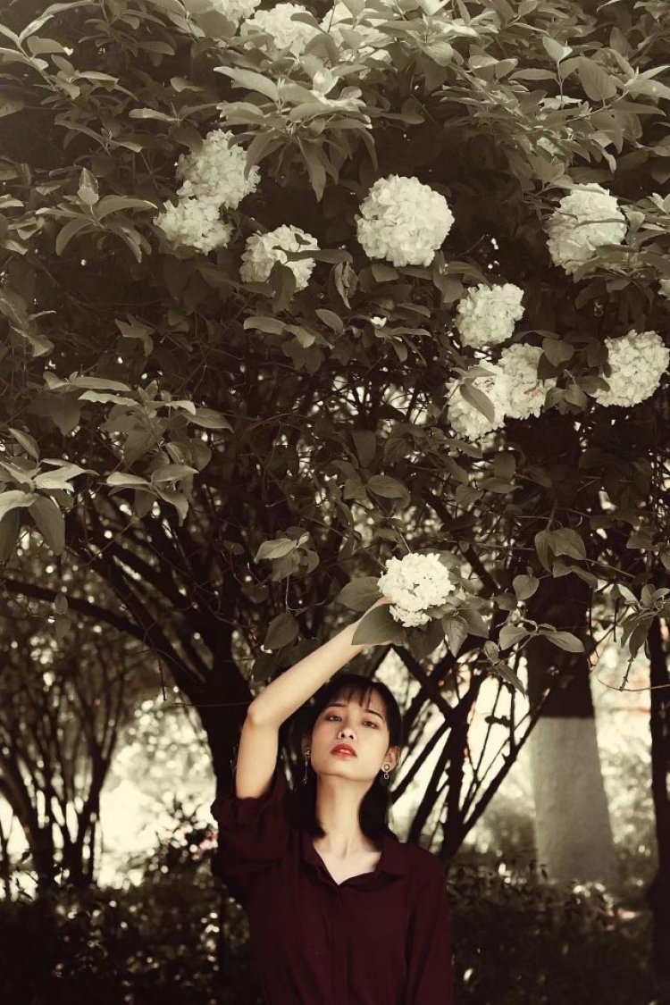 ?阿藜-湖南省·衡阳市·衡阳县--做又酷又可爱的仙女。
约拍可私信。