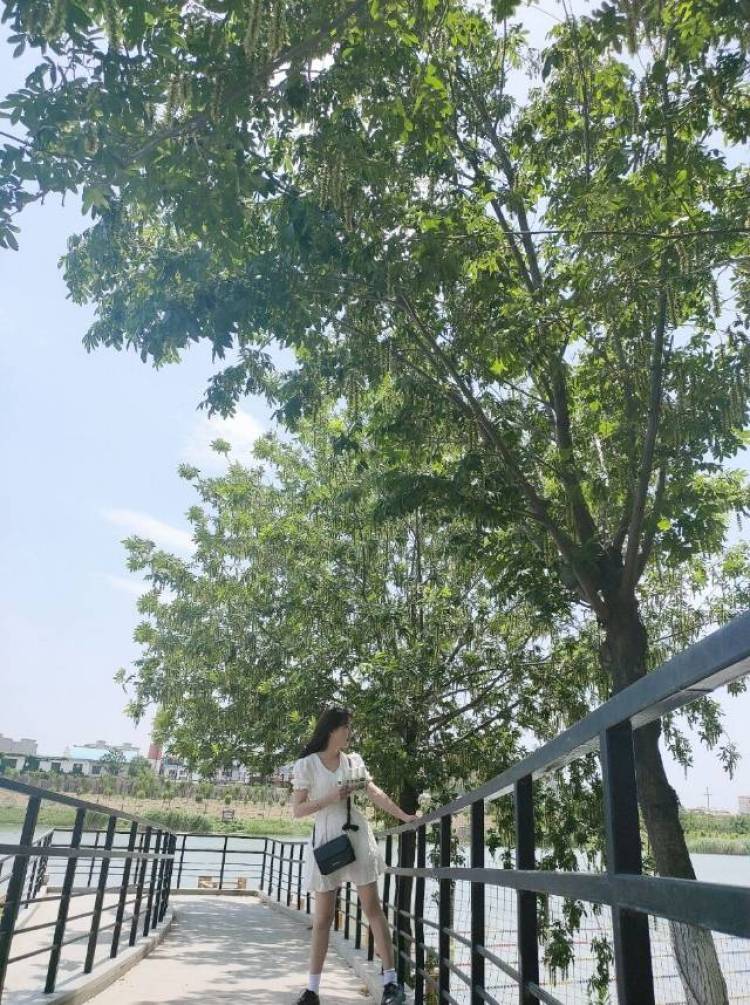狗咩咩-贵州省·黔东南苗族侗族自治州·三穗县-快手 ***-玩快手 *** 微博:55
在校大学生 家里经济条件一般 找兼职赚生活费
身高1.54 体重43kg
会拍照修图 做一段时间的美工 可种草图文软件创作发布 买家秀文字单 请与我合作 祝生