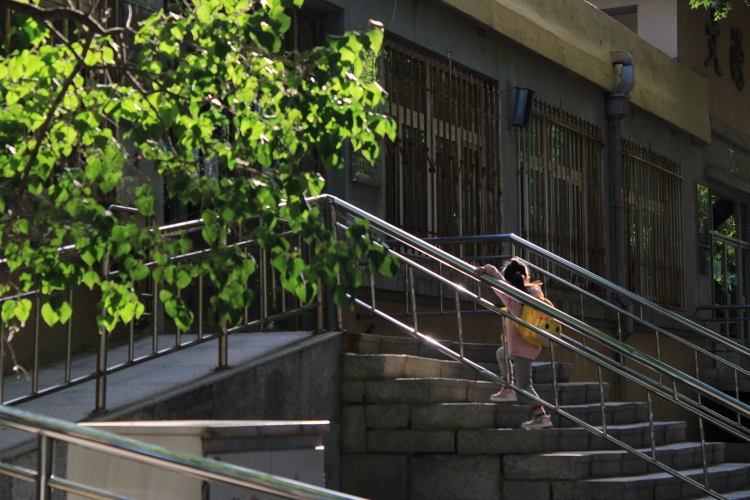 装-辽宁省·大连市·甘井子区-微博|***|微信|ins-可盐可甜,小个子,萌妹身高,以下图片为苹果原相机拍摄,擅长公众号平台运营,公众号推送制作,较熟练使用秀米编辑器,平常多摄影,喜欢拍照,会修图,有较好审美水平