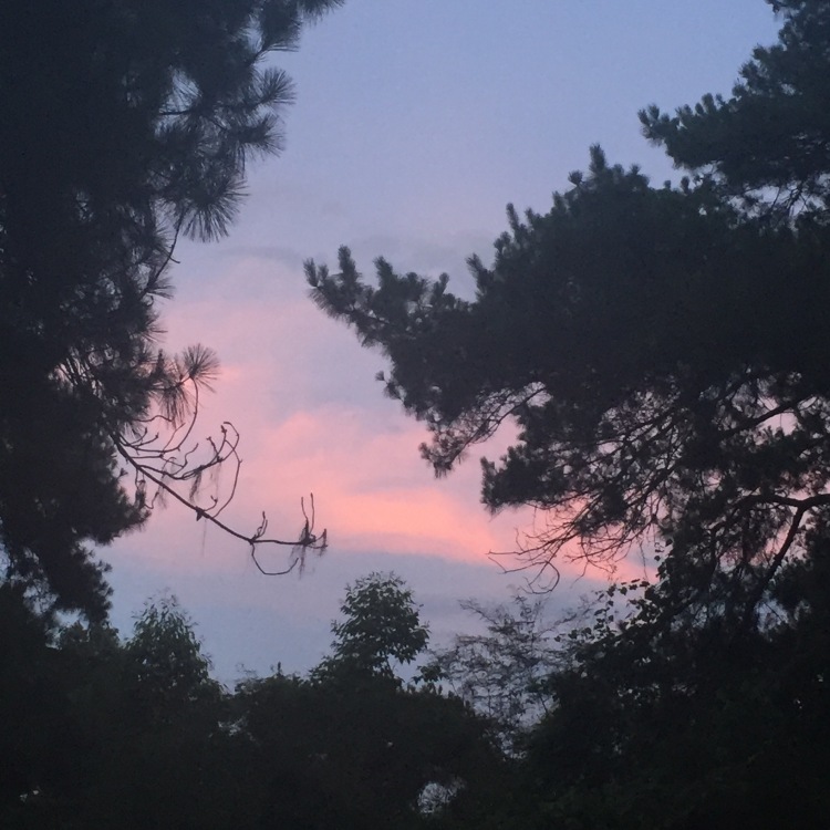 苏觅.-广西壮族自治区·贺州市·富川瑶族自治县-抖音,快手-学生,身高159,体重74斤,买家秀,卖家秀,网拍,寄拍,很喜欢拍照,会拍照P图