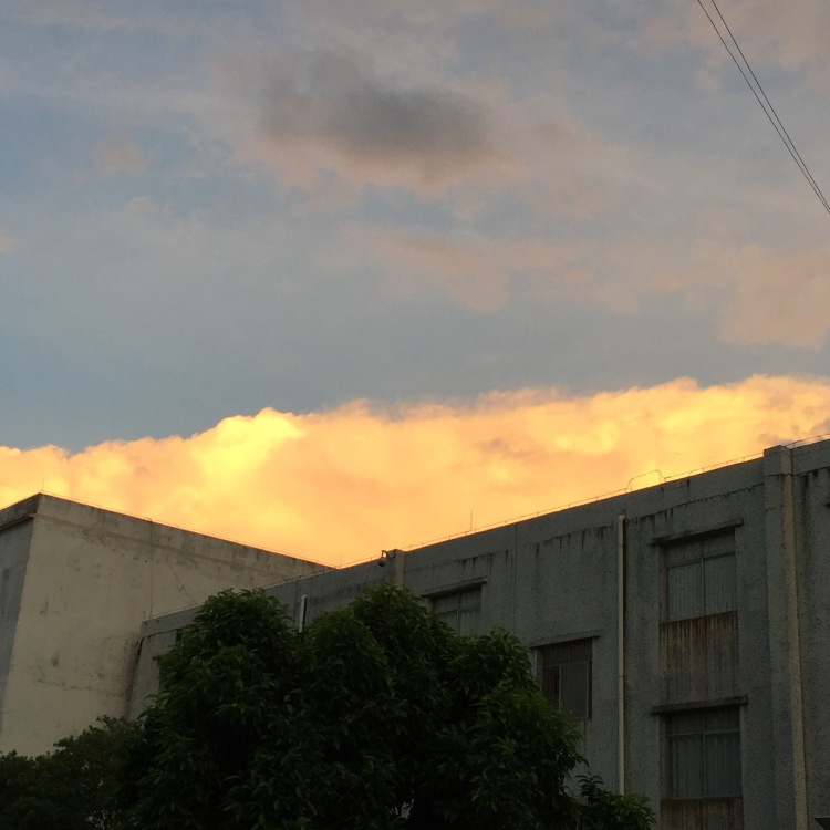 苏觅.-广西壮族自治区·贺州市·富川瑶族自治县-抖音,快手-学生,身高159,体重74斤,买家秀,卖家秀,网拍,寄拍,很喜欢拍照,会拍照P图