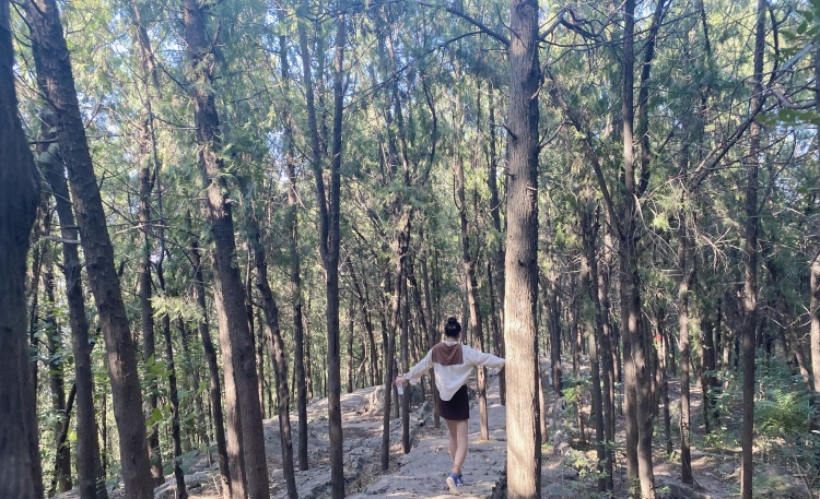🦌-江苏省·徐州市·云龙区--身高170体重56公斤,会制作短视频,擅长户外拍照,会穿衣搭配,性格比较开朗……