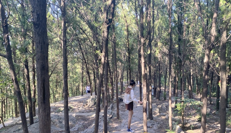 🦌-江苏省·徐州市·云龙区--身高170体重56公斤,会制作短视频,擅长户外拍照,会穿衣搭配,性格比较开朗……