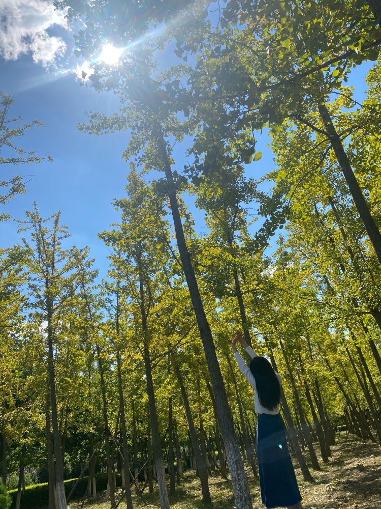 N-辽宁省·大连市·甘井子区-抖音快手-接（饰品 美瞳 服装类）的【买家秀】和【卖家秀】寄拍 、探店打卡等 . 出图快，不托图.