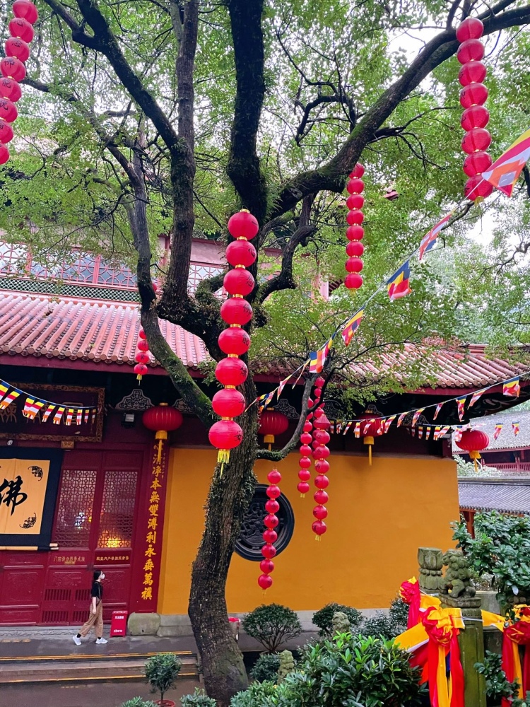 蓝胖子-浙江省·杭州市·西湖区--打卡法喜寺还愿成功，又拍了一组美美哒的照片，略略……开心🥳，黄色的墙和复古的瓦楞真的很适合拍照