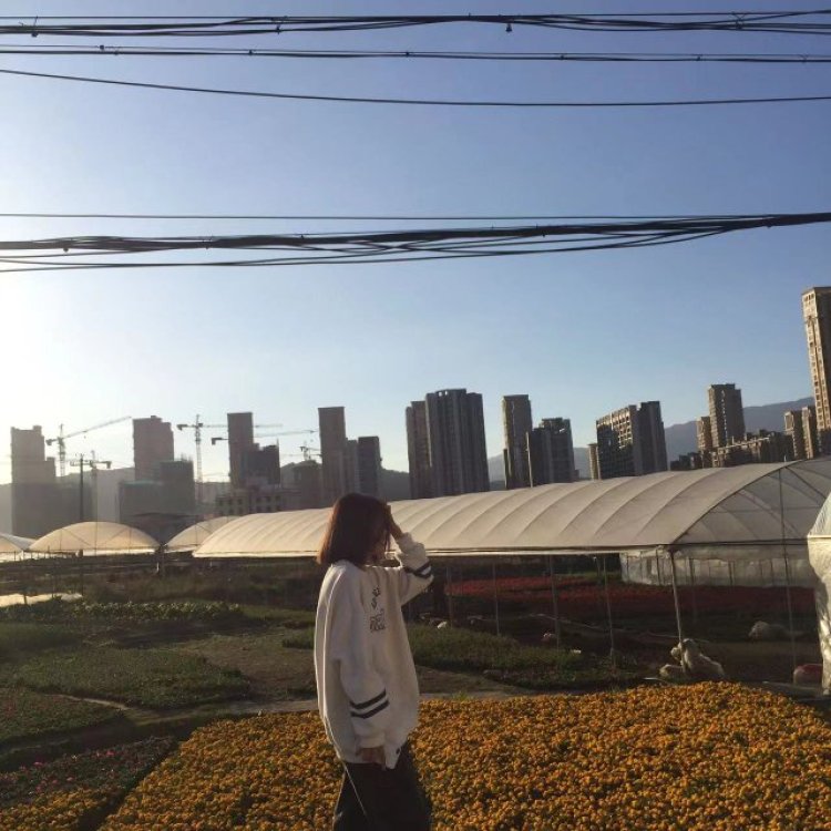 7end-福建省·龙岩市·新罗区--约商家 费用协商 接寄拍 tb pdd 衣服 鞋子 化妆品等都可以 身高161体重81 自己会p图 可以听商家建议做调整