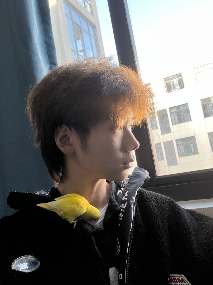 种个阳-江苏省·盐城市·亭湖区-快手-特长乒乓球,羽毛球,篮球
职业大学生
爱好摄影,球类
接单接受范围:寄拍模特,买家秀,可长期合作,身高比较高