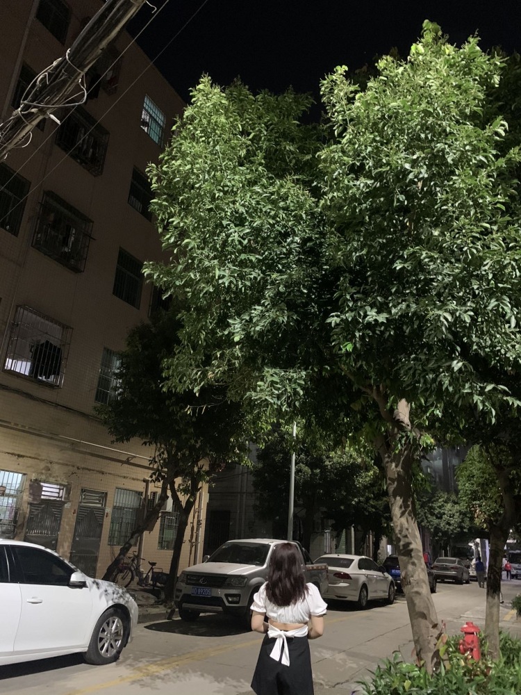 H.-广东省·深圳市·龙岗区-抖音-素人接寄拍，五官端正，买家秀都可，会p图，有需要的可以联系。
