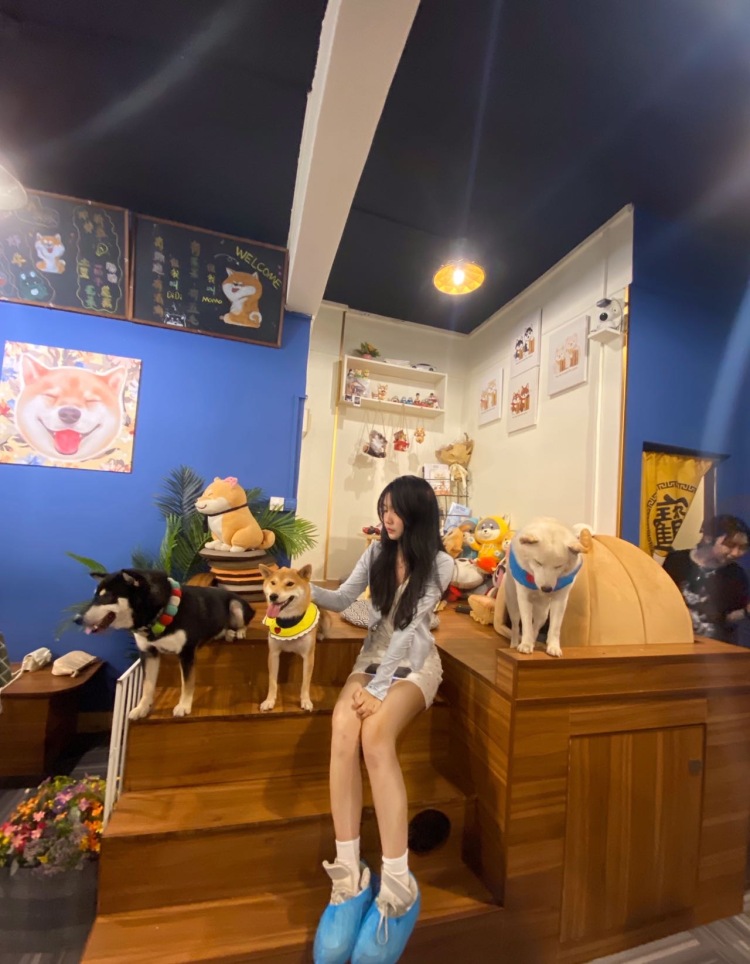 ooyo-i-广东省·惠州市·惠城区--热爱拍照喜欢探店喜欢接触新事物 玩短视频并且发布作品 校园推广