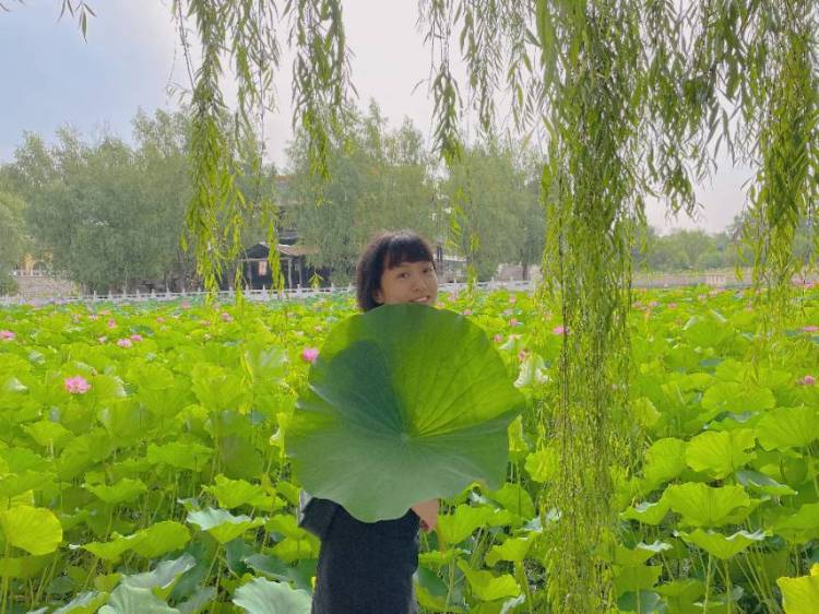 丽丽丽丽-河北省·石家庄市·裕华区--会美图,会PS,介绍产品,突出物品的重点,多角度拍摄产品,时间充沛