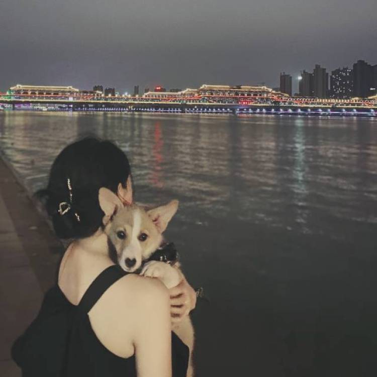 李小西-陕西省·西安市·未央区--学生党 身高165体重105 经常探店打卡 喜欢拍照 会做剪映，喜欢旅行，可以做买家秀模特，拍高质量照片，非诚勿扰，谢谢