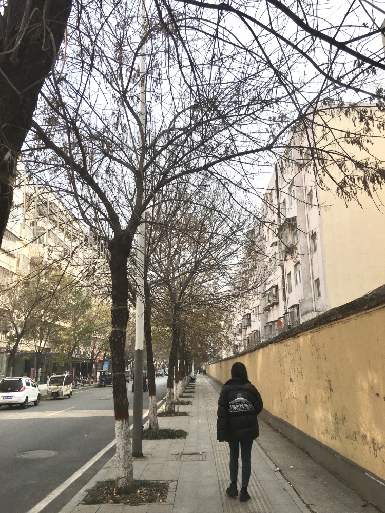 ·-河南省·驻马店市·驿城区--大家好!我是跳跳
接寄拍 网拍 买家秀 🉑️视频 照片 出图快 饰品 各种风格都可驾驭 开箱测评种草 积极配合 直到满意