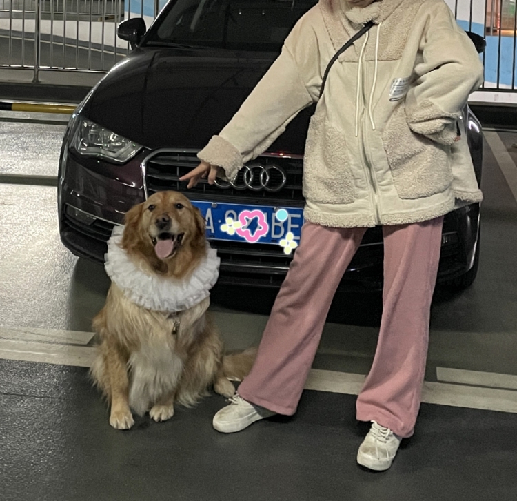 小辣椒😈-福建省·福州市·仓山区--160,长得凑合。家有女宝一个,金毛一只。美图十级选手,p图快且化腐朽为神奇。可接各类寄拍,老板们赚点奶茶钱啊。