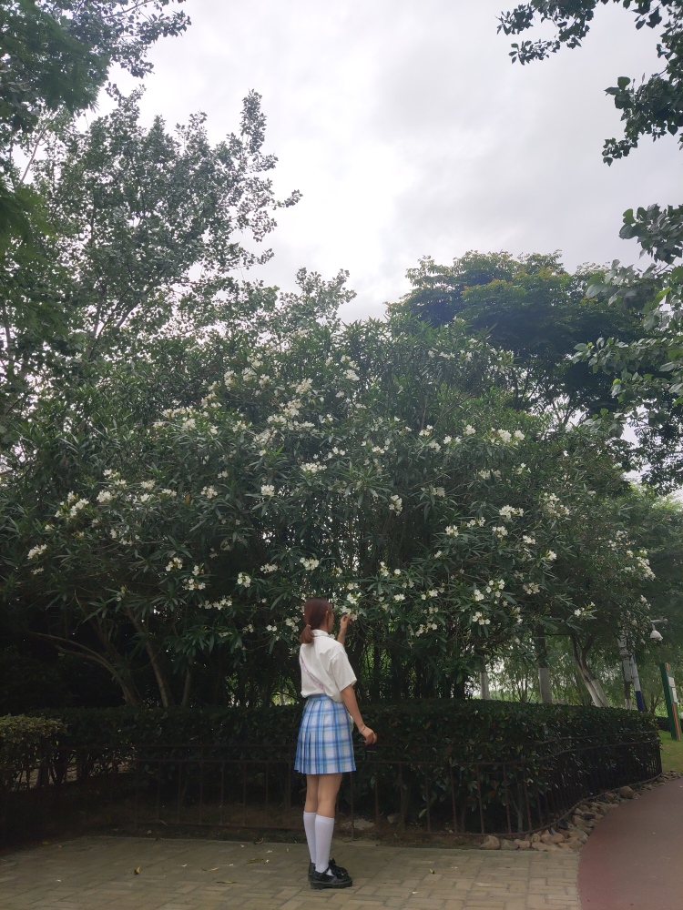 芋泥啵啵奶绿🍵-安徽省·蚌埠市·固镇县--擅长拍照,批图,身高165,体重50kg中长发梨形身材适合半身裙或者长裙,拒绝紧身裤,接受寄拍