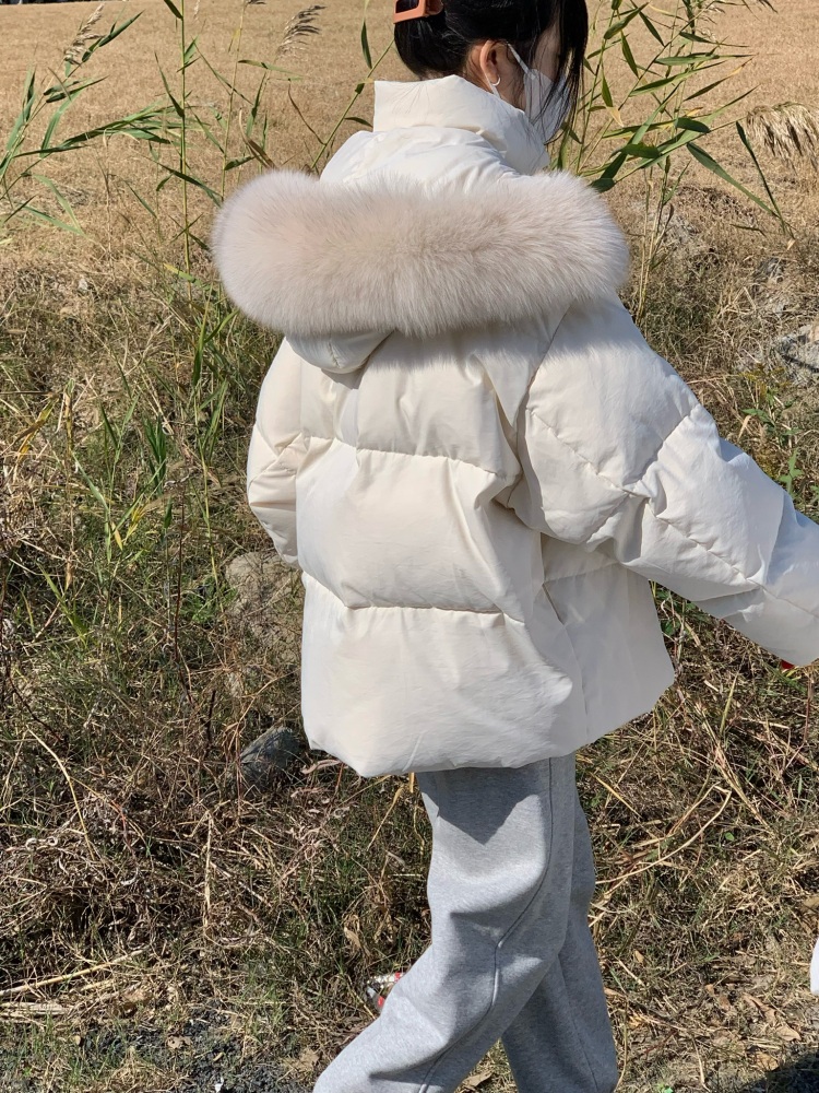 llin-浙江省·杭州市·上城区--具有一年模特经验。可接休闲风,韩风,甜酷风,暗黑风等各种风格买家秀寄拍,送拍, 也可线下约拍。各类时尚单品,饰品,帽子均可。
艺名:llin
身份:模特
身高:163CM
体重:44KG
坐标:浙江省