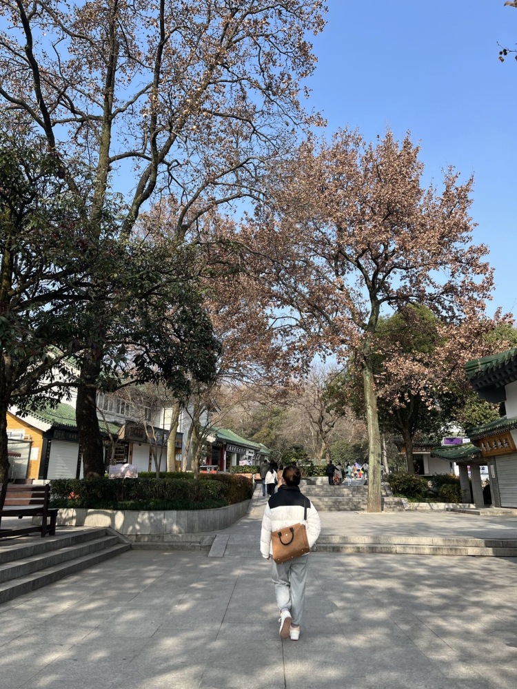 大鱼-辽宁省·沈阳市·苏家屯区-***-身高：153cm
体重：49kg
工作：有本职财务工作，空闲时间很多，需兼职
希望接单