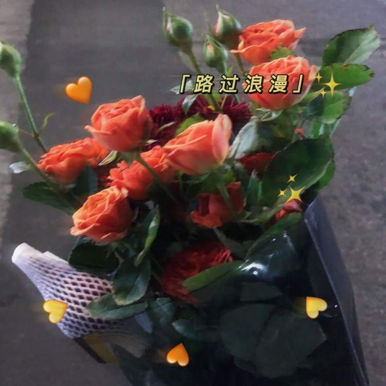 _Vicky-安徽省·安庆市·迎江区--摄影师 擅长静物 饰品 家居类 会修图 速度快 价格低