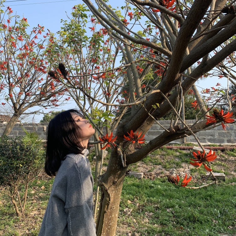 林圓圆-福建省·福州市·长乐区--🉑️接寄拍
🉑️费用协商
‼️有一定拍照经验
‼️任何风格都可接