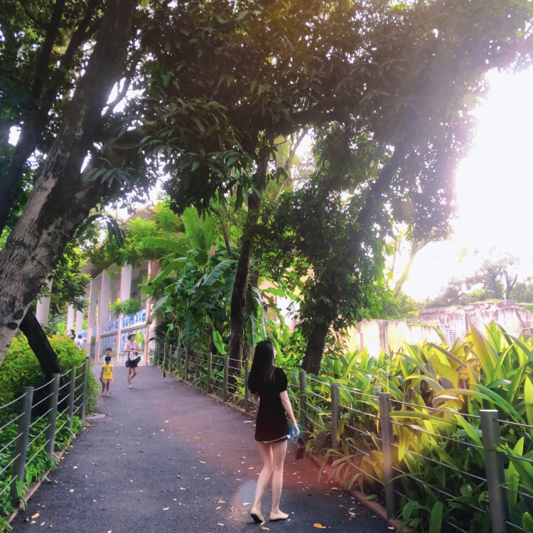 天才少女龙🌺-广东省·佛山市·禅城区--本人身高167-96斤，自己会修图，皮肤白。饰品，衣服，包包，鞋子都可接。