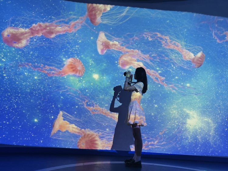 yolo-浙江省·嘉兴市·南湖区-抖音 微博 某红薯-小个子身高155 体重86 可接寄拍+美妆+饰品+服装等 拍照刷各种社交平台 时间充足 会p图