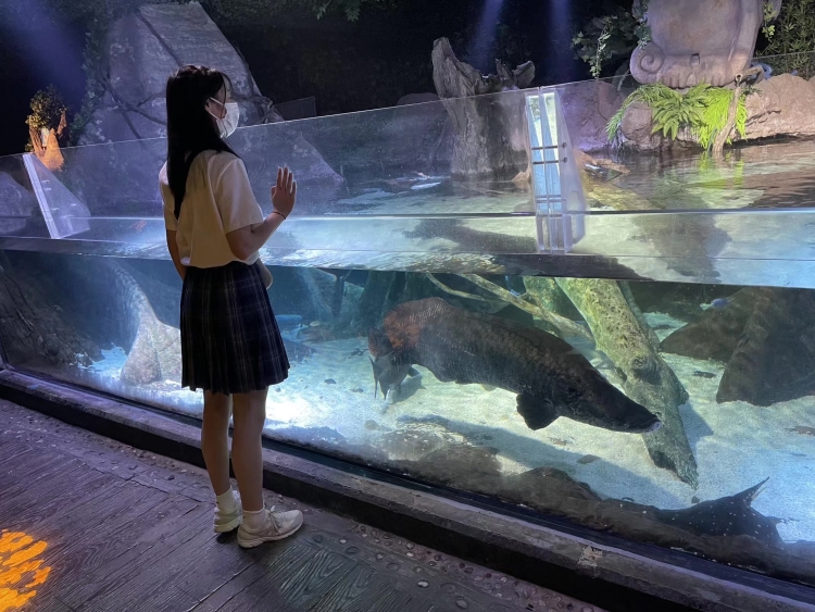 小姜😨-浙江省·温州市·龙湾区--学过礼仪，大学学文秘专业，可持续合作，不接受有会务费的单子，接受有运费险的单子，不接受内衣等特别暴露的寄拍，诚信合作！