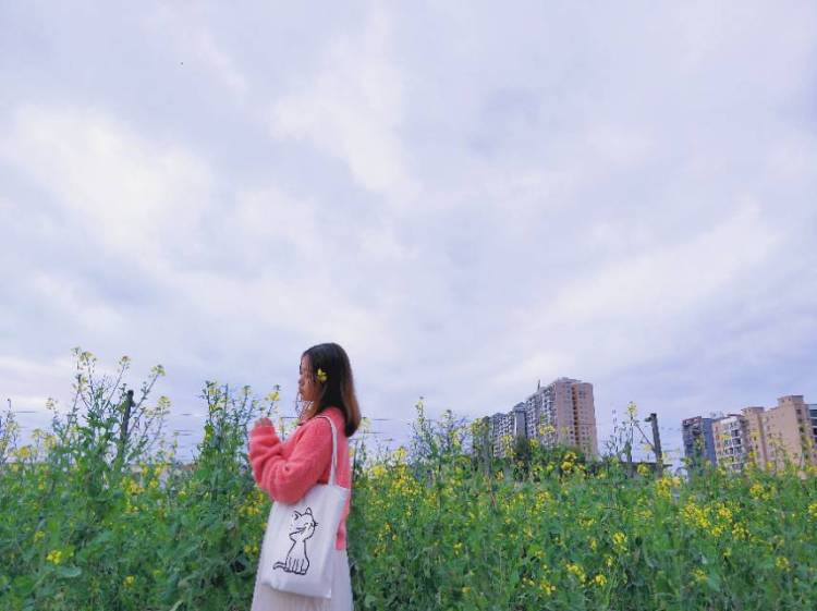 y-贵州省·铜仁市·玉屏侗族自治县--生活很苦但你要甜