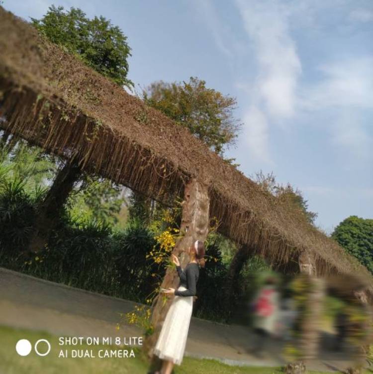 荣幸?-广西壮族自治区·桂林市·临桂区--喜欢拍照会修图,目前在奶茶店工作时间很多。喜欢网购衣服用品基本都是在网上买的。