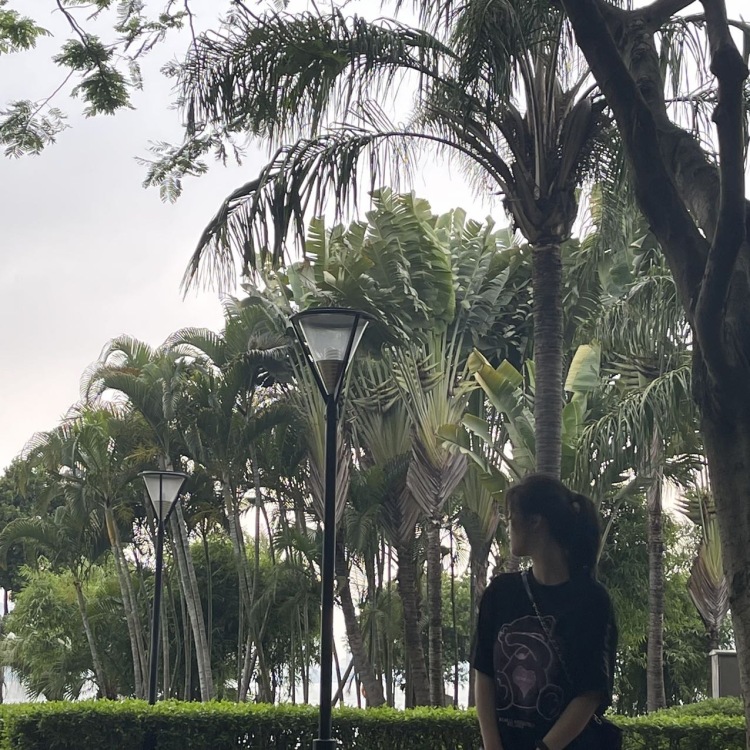 Serendipity-福建省·厦门市·湖里区-抖音、某红薯-爱好拍照,可接寄拍,网拍,有意的请联系,风格可换,护肤品测评,鞋子展示,拍摄类的都可以,费用可协商