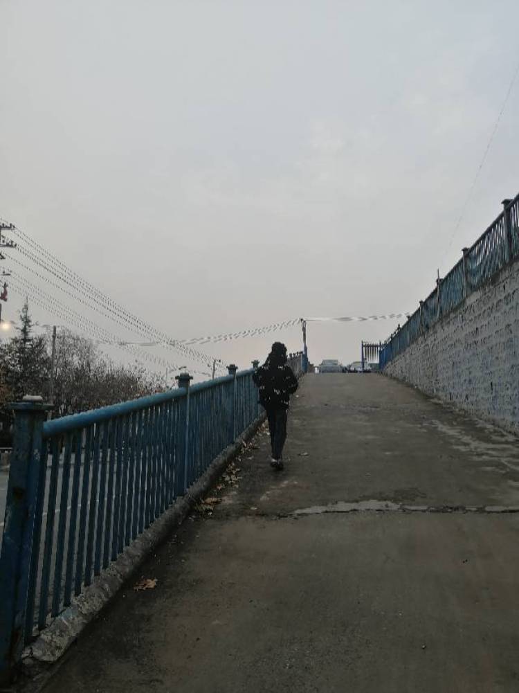 .-陕西省·渭南市·富平县--高三毕业生,时间充足,有耐心
风格偏中性一点,也可尝试其他风格
爱拍照,会P图