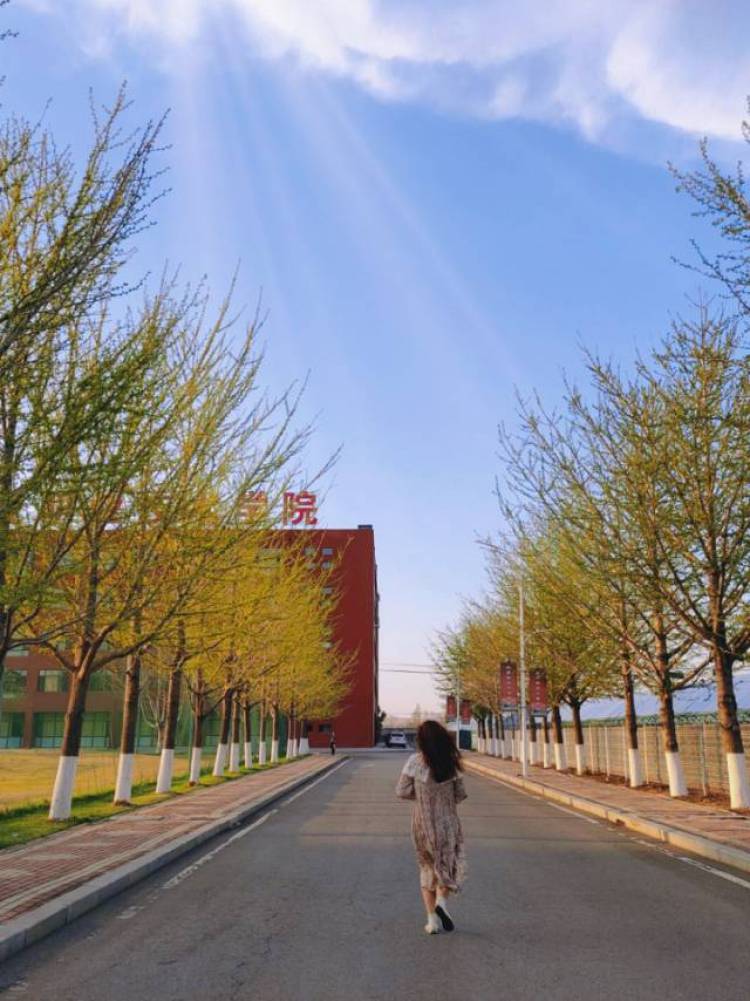 仙女格格巫-辽宁省·锦州市·北镇市-抖音 某红薯 微博-身高一七零 爱好 做饭 拍照 美甲 美瞳 包包      配饰