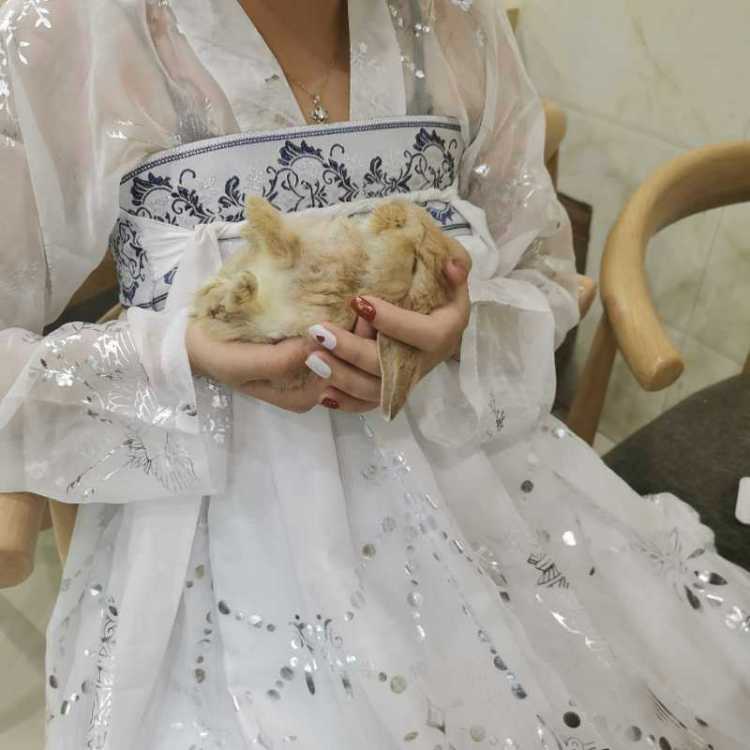 美美-四川省·眉山市·丹棱县-抖音-身高156 体重88  想尝试一下做网拍，衣服，情侣装，闺蜜装，包包鞋子首饰化妆品都可以