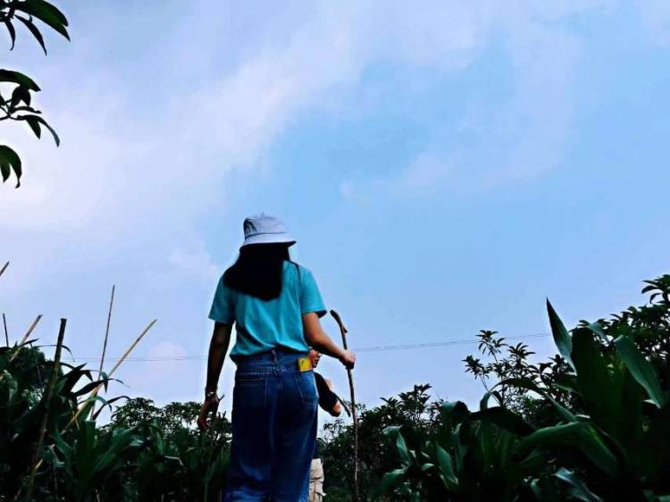 洛-重庆市·重庆市·渝北区-抖音-喜欢穿裙子、拍照、鲜花🌸 
🌈 接受寄拍、想尝试古装✧*。٩(ˊωˋ*)و✧*。