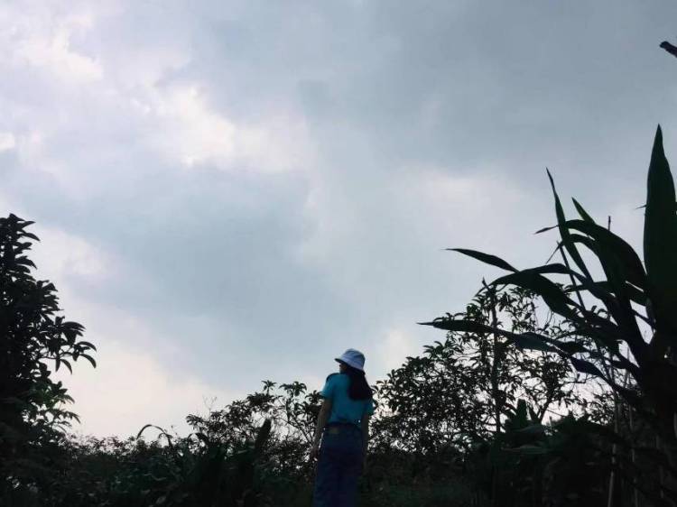 洛-重庆市·重庆市·渝北区-抖音-喜欢穿裙子、拍照、鲜花🌸
🌈 接受寄拍、想尝试古装✧*。٩(ˊωˋ*)و✧*。
