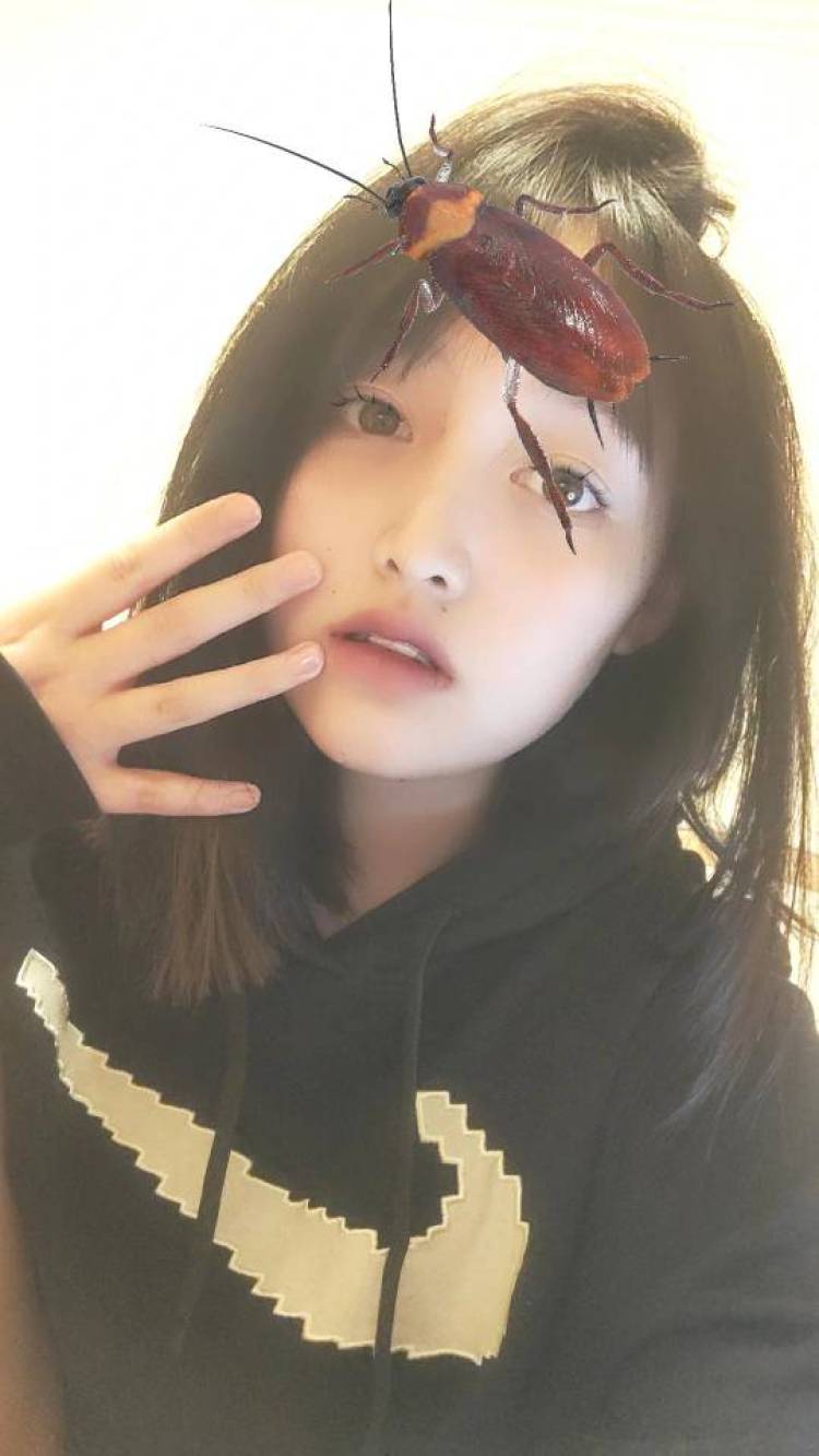 Yx_💕-河南省·周口市·鹿邑县-快手 抖音-我是一名在校学生，我比较喜欢拍照 ，会P图，可以在快手某红薯平台上发布作品，希望可以接到单，我可以借寄拍，买家秀，开箱视频等等，希望可以给我一个展现自我的机会