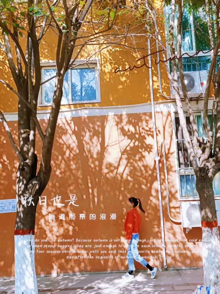 李小哈-河南省·商丘市·梁园区-抖音-接某宝,拼多多等寄拍,买家秀等,广播电视编导专业的学生,会摄影,会相机,拍p图,诚信合作。