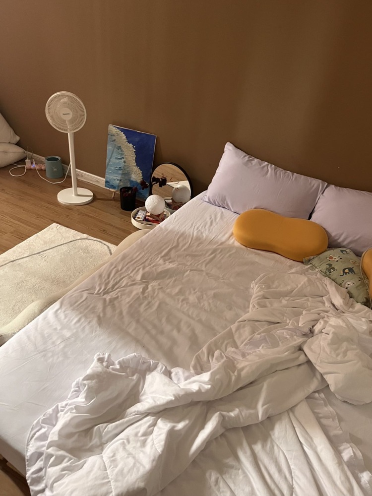Hi-河南省·驻马店市·驿城区-某红薯-在某红书做了租房好物分享 浏览量还不错 有人咨询物品链接 家居类的商家可以合作