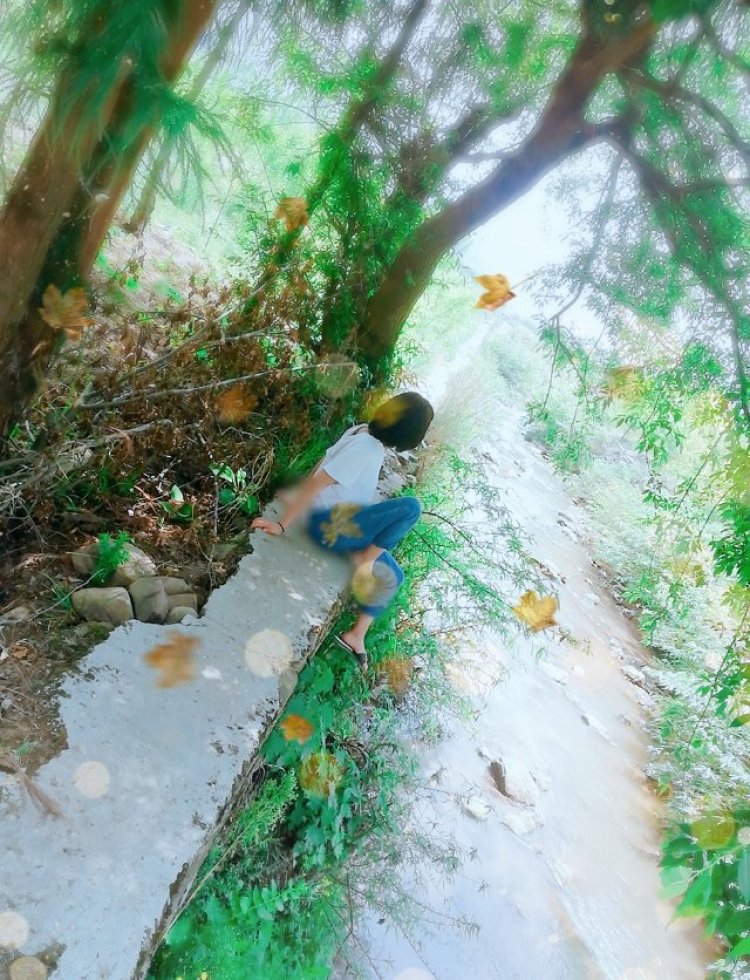 小镇与凉梦}-贵州省·毕节市·七星关区--除了自拍,没有其他什么特长,身高160,体重90,喜欢的的商家,可以联系我。