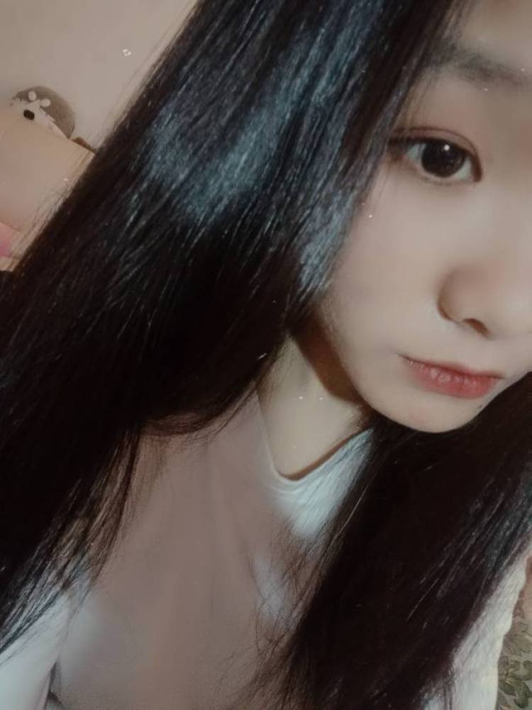 成了仙的猪.-内蒙古自治区·阿拉善盟·额济纳旗--接单!!