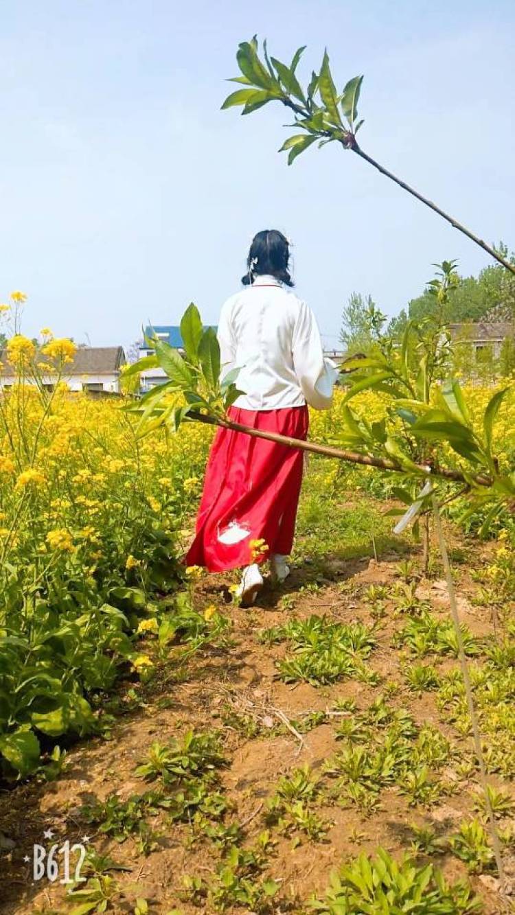 丸子同学-山东省·菏泽市·曹县-快手-买家秀