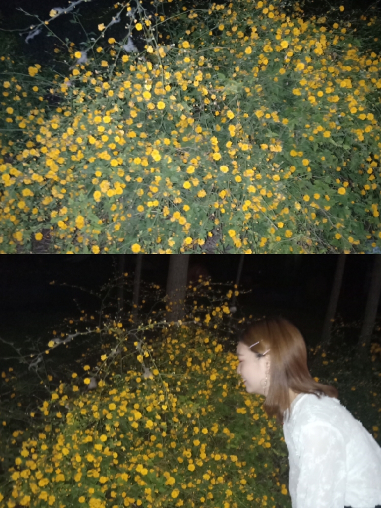 hhh-河南省·郑州市·巩义市--网拍模特，形象好气质佳，在校大学生素质极高，事少淘宝等级高，有意者联系