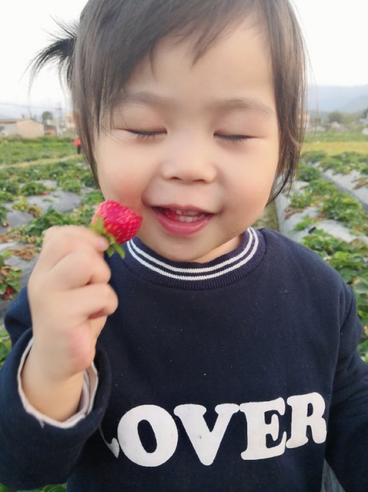 小萌妞-广东省·惠州市·惠东县--宝宝超爱吃草莓