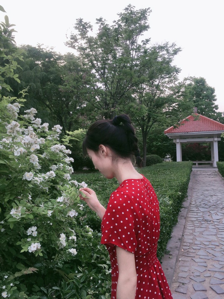 LANYA-河南省·商丘市·睢阳区--事少出图快。
166 87斤