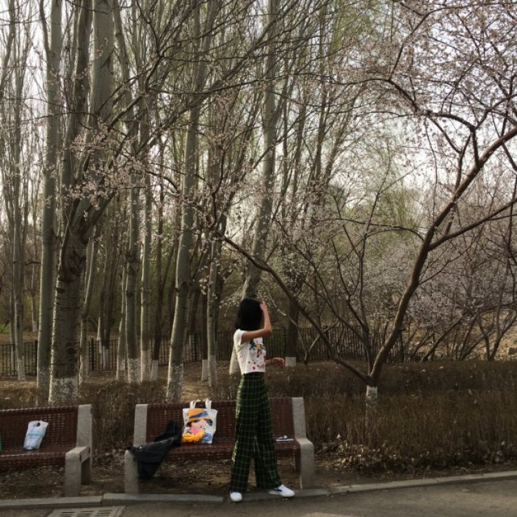 高齐mmm-吉林省·长春市·二道区--168 102爱好拍照