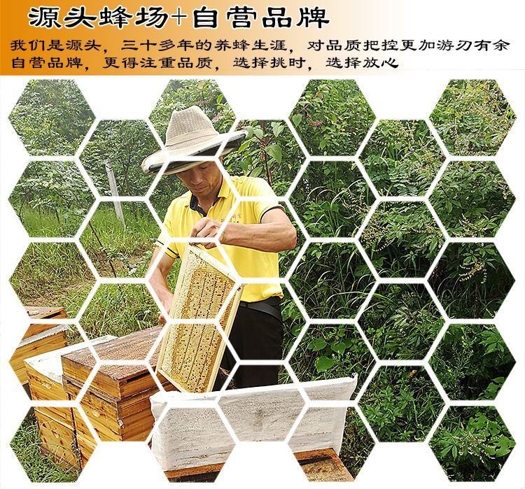 挑时®纯蜂蜜～李记光-河南省·信阳市·浉河区-头条-自己蜂场，诚寻信阳附近自媒体、主播合作