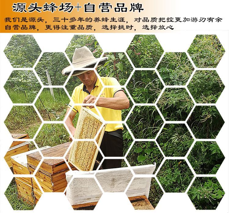 挑时®纯蜂蜜～李记光-河南省·信阳市·浉河区-头条-自己蜂场，诚寻信阳附近自媒体、主播合作