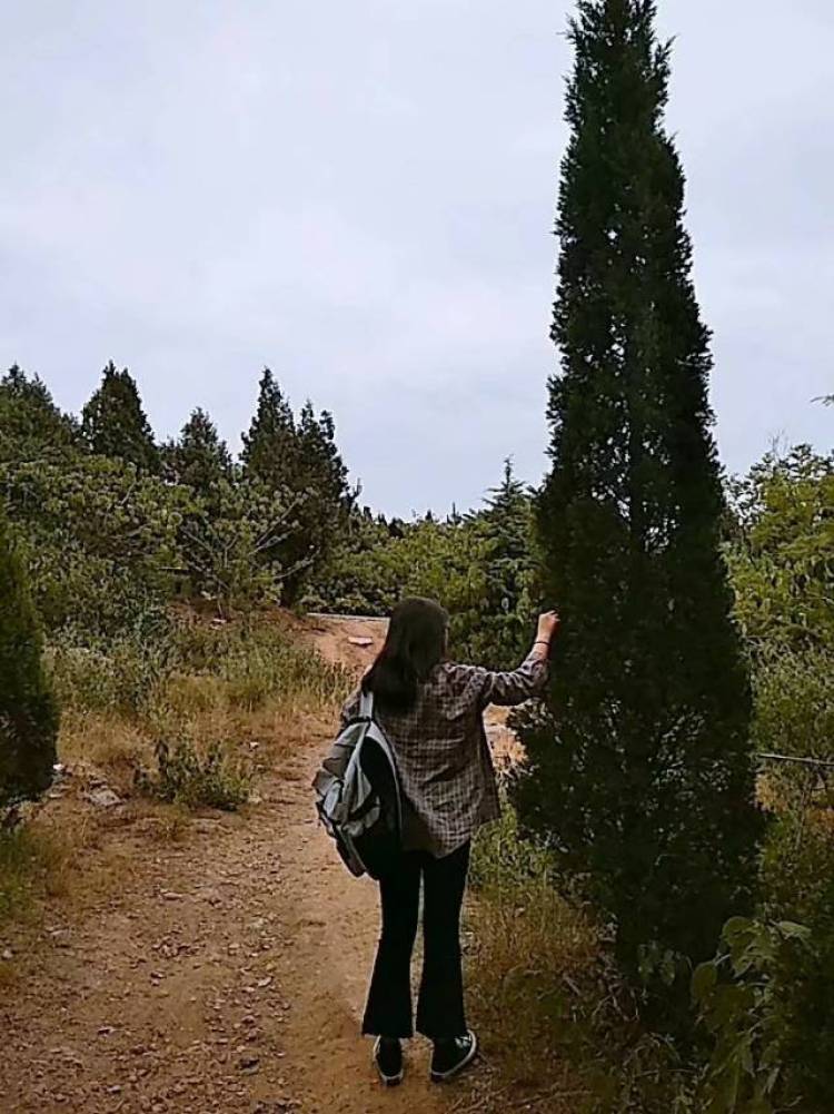 苍青-山东省·枣庄市·薛城区--可盐可甜,有一丢丢的摄影功底
会p图,背景多样,照片有质感