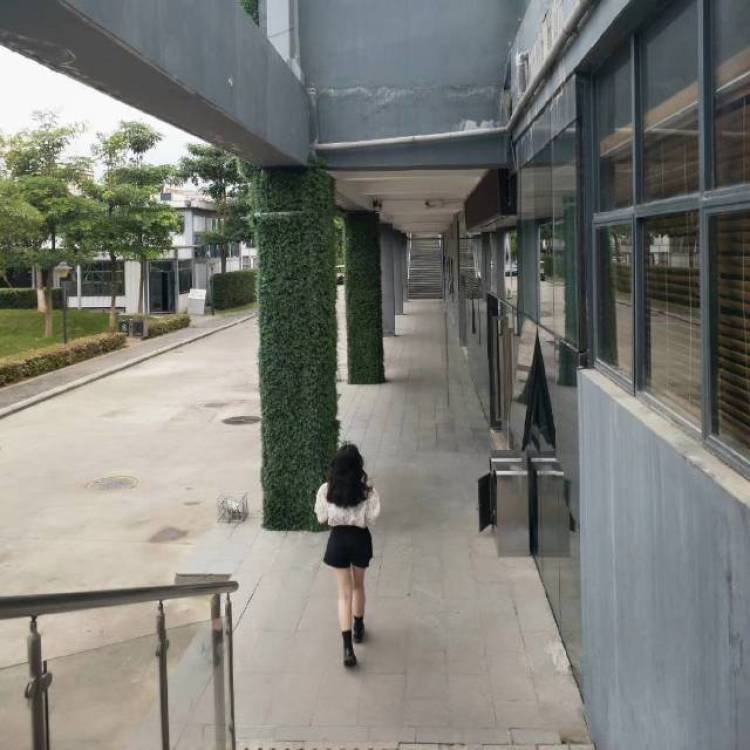 西西-广东省·深圳市·龙岗区--请问一下有没有找我接单的小哥哥小姐姐,没有嘛,那我等下再问哦!