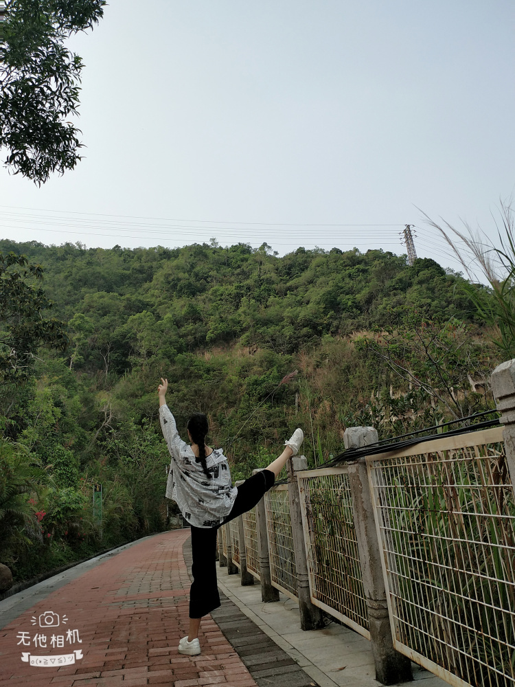 蒲^O^公英-广东省·深圳市·龙岗区--认真负责期待合作哦 😊